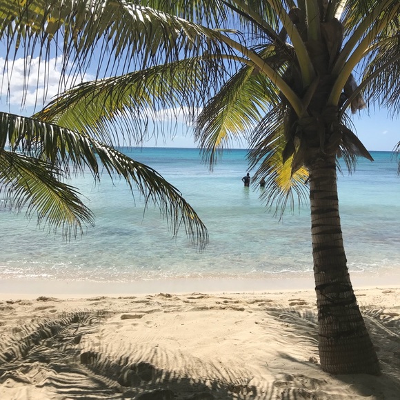 Meet your Posher, Heather - Picture 3 of 3